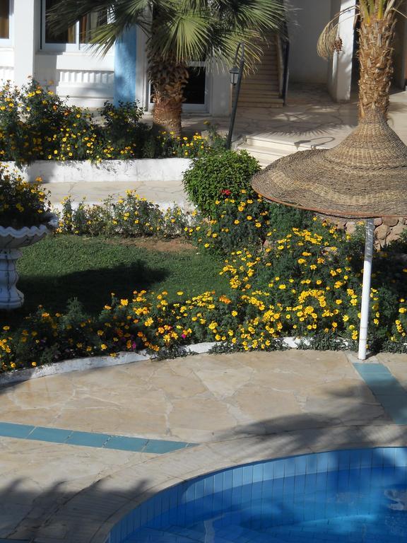 Regency Sharm Hotel Šarm aš-Šajch Exteriér fotografie